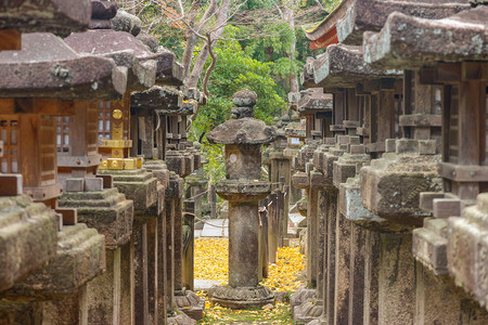 岩石遗产神社夏拉公园秋季的日本旧灯笼石头排图片