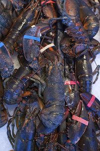 晚餐海产食品市场新鲜龙虾煮沸卖背景图片