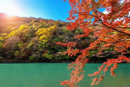 日本京都沿河秋季的亚林山旅行女孩森林高清图片