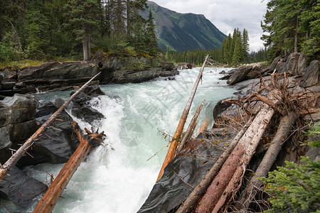 加拿大不列颠哥伦比亚省Kootenay公园内努马瀑布全景象山脉溪流图片