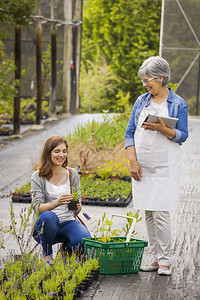 销售量美成熟的花店商帮助女顾客选择植物工作购消费者高清图片素材