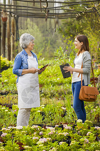 买行业美成熟的花店商帮助女顾客选择植物农业登记高清图片素材