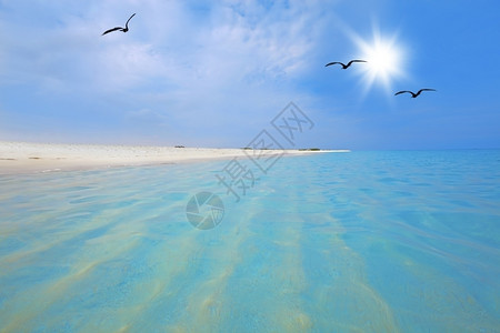 卡伦海滩绿松石阿鲁巴BocaGrandi海滩的绿松水和白沙热带约根森设计图片