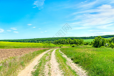 乡村公路通过田野和森林阳光明媚的暑夏日乡村公路通过田地美丽小路旅行图片