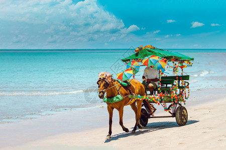 海滩上旅游交通社白色的蓝加利尼亚斯图片