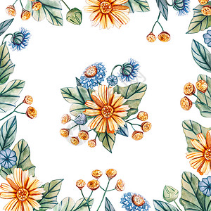 黄色野花可爱的水彩野花卉方形框架有文字的地方白色背景上孤立的花朵水彩野卉方形框架有文字的地方绘画一种设计图片