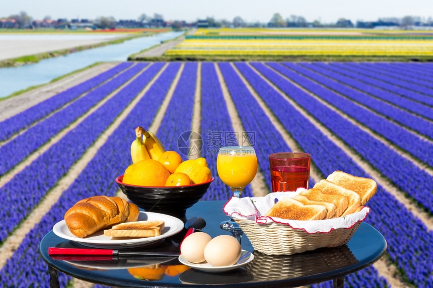 旅游碗餐桌与食物和饮酒相近的花田荷兰首都Keukenhof夏天图片