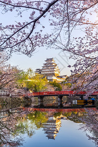 日本仁济的樱花和城堡桃东方的景观图片