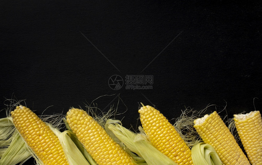 所有的农场金查看带有复制空格的新鲜玉米成分图片