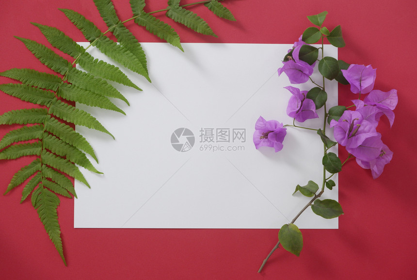 爱情人节收藏含有红色背景热带叶和花的文字版面装填白纸图片