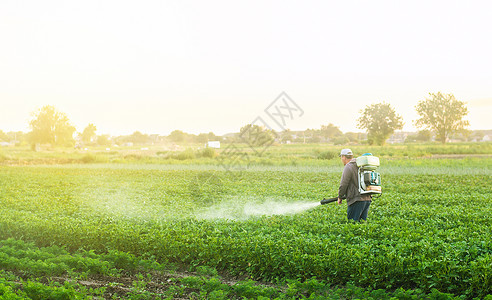 除霉剂行业蔬菜农民使用喷雾器吹风者处理来自虫害和真菌感染的马铃薯种植作物加工保护和理在农业和综合企中使用化学品收成背景