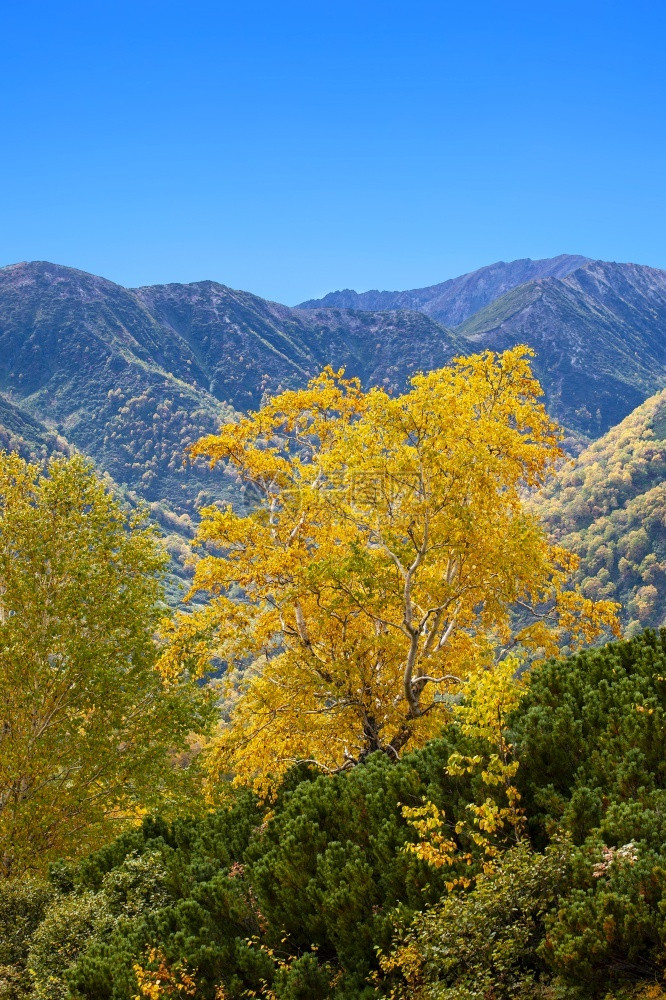 美丽的秋天山中景色图片