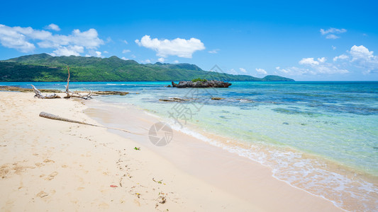 阳光明媚的海岛沙滩风景图片