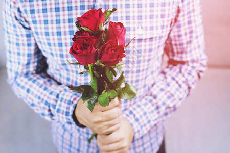 花朵情人节的爱送玫瑰家庭周年纪念日图片