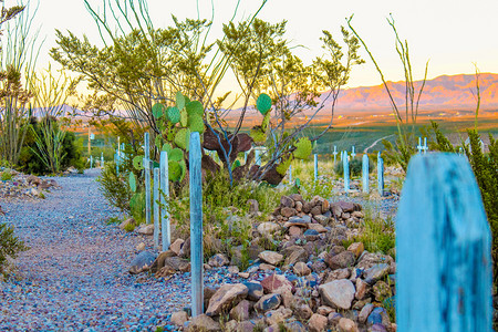 沙漠2018年月2日于亚利桑那州落墓碑的Boothill边境开机背景图片