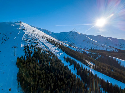 阳光照耀下的雪山山顶与树林图片