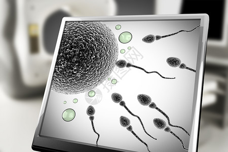 排卵怀孕微实验室中监测的精子和蛋细胞女设计图片