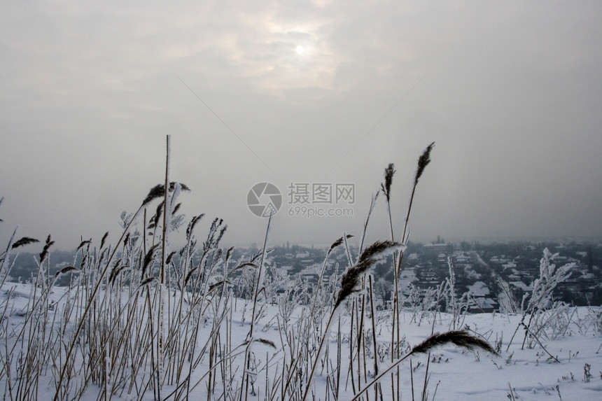 梦幻般的雪和阴云天空中冬季田地暴风雪天气图片