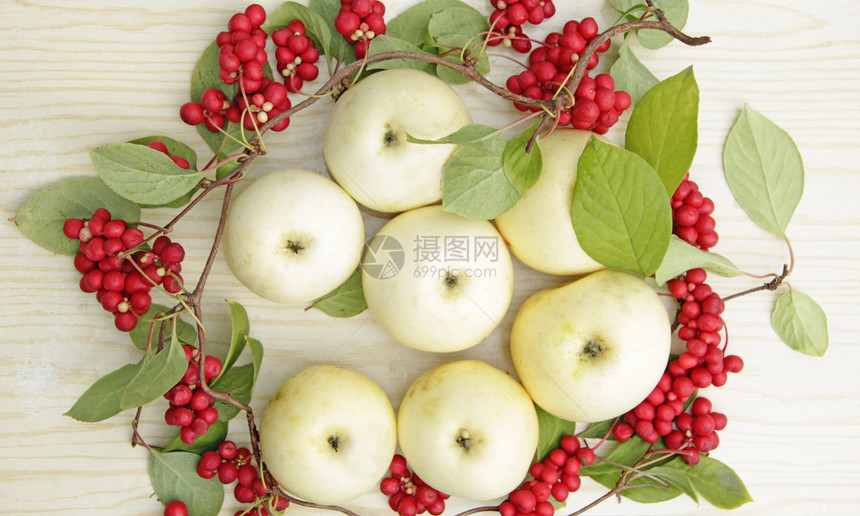 红五味子和白苹果静物与成熟的五味子和白苹果簇收获与成熟的水果和苹红五味子植物韩国五味子静物与成熟的五味子和苹果藤蔓花园图片