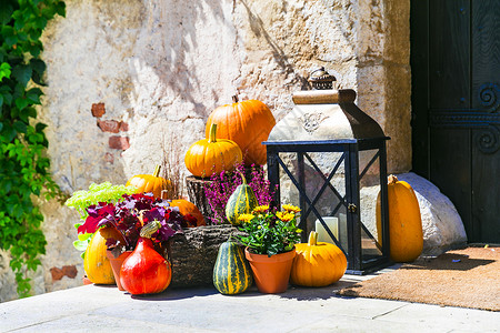 楼梯新鲜的喜庆南瓜花园或街头装饰创意的秋天生活图片