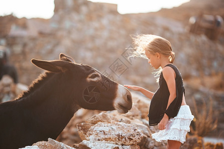 喜悦小女孩在希腊岛骑驴小姑娘在密科诺斯岛骑驴小姑娘在米科诺斯岛骑驴漂亮的户外孩子高清图片素材