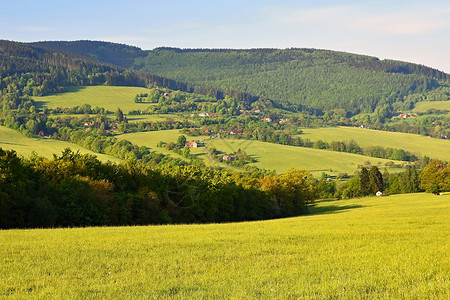 环境捷克白喀尔巴阡山脉欧洲森林草原和山丘的自然景象夏季山区美丽的地貌欧洲自然农村风景优美高清图片素材