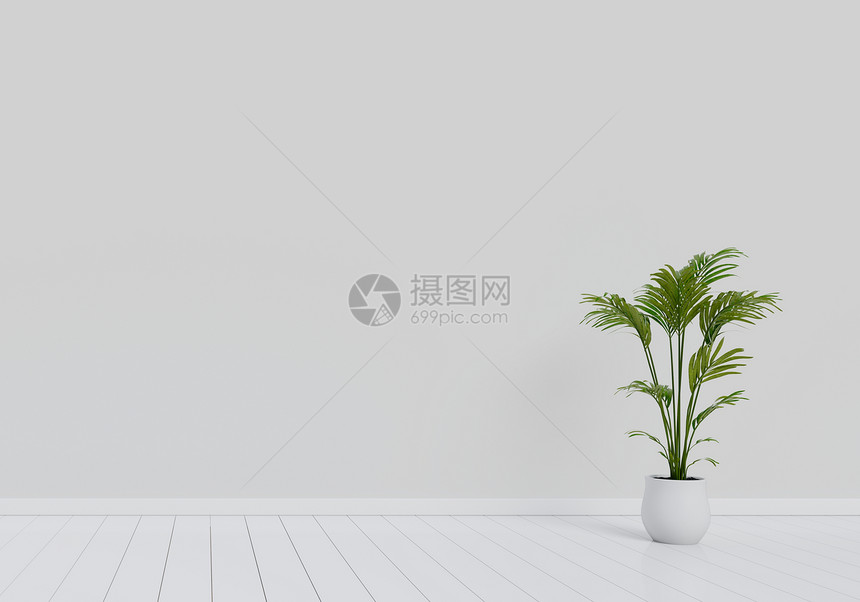 活的树干净现代客厅室内设计现代化用天然绿色植物锅在白光花的木地板上安装天然绿色植物锅住家与生活概念3D式主题插图图片