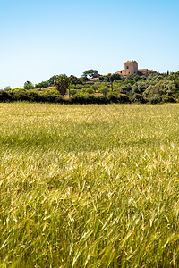 古老乡村大楼的西班牙乡村边上庄场地景图片