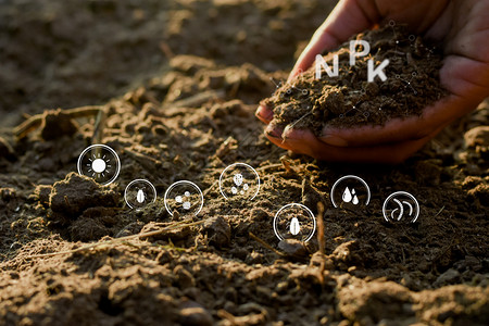 人类的手握着土壤中富足的拥有种植物所需的有元素并包括数字图标自然氮钾图片