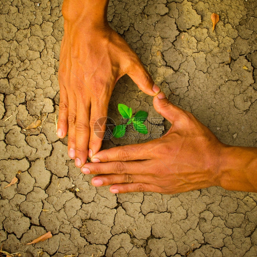 在破碎的大地上生长树周围形成心脏状的手地球短缺气候图片