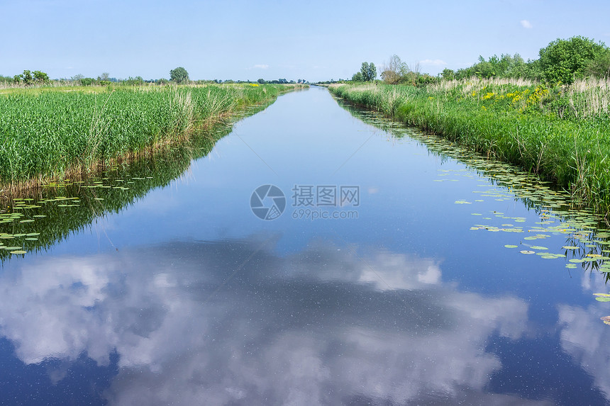 欧洲环境沼泽天然水库森林湖泊或河流道的表面森林湖泊或河流道天然水库的表面图片