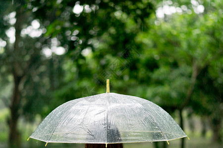 雨天撑着透明伞保护高清图片素材