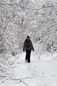 雪地里行走的女性图片