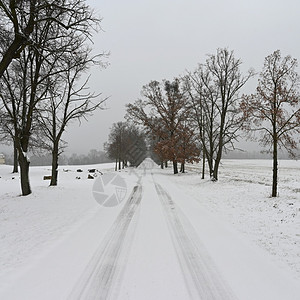 下雪的滑冬季在中危险驾驶交通和恶劣天气概念交通和恶劣天气的概念自然图片
