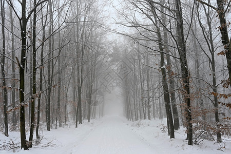 速度冬季在雪中危险驾驶交通和恶劣天气概念交通和恶劣天气的概念沥青车图片