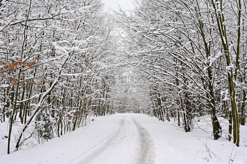 乡村的为了白色冬季在雪中危险驾驶交通和恶劣天气概念交通和恶劣天气的概念图片
