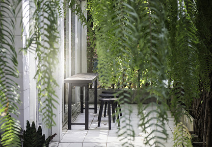室内家庭花园绿色植物库存照片咖啡店窗户绞刑图片