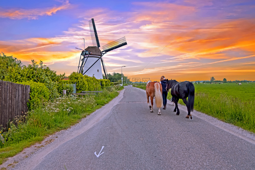 荷兰农村传统风车的荷兰景观来自荷兰城市绿色春天户外图片
