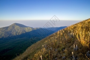 清晨在泰国多蒙钟绿田与山雾中漫起风景优美亚洲人们图片