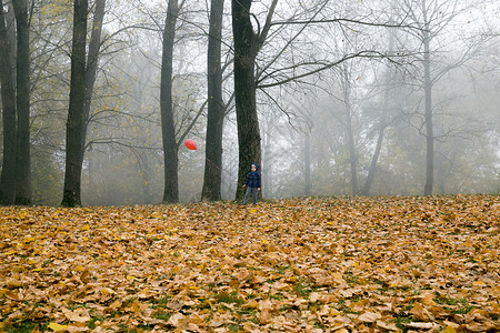 秋末一个5岁的小男孩在一个秋天公园中走在的阴云气中秋公园里拿着一个红飞气球和5岁的小男孩黄色生多云背景图片