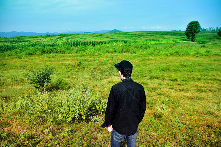 年轻的男看一个人站在绿草地上清晨阳光照耀着自然的美丽景象后宫观赏着绿色植物田地景观图片