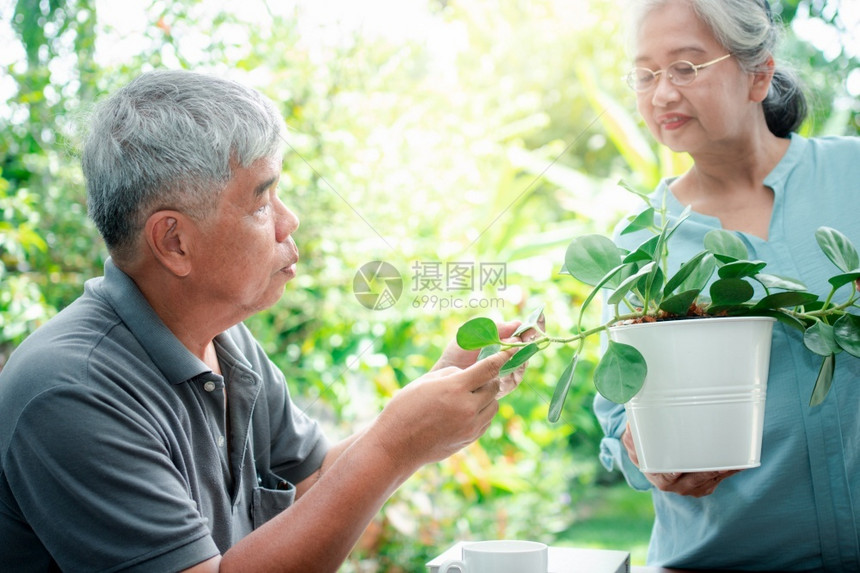 园林绿化外部家庭一个快乐和笑的亚洲老年妇女在退休后与丈夫一起为业余爱好而种植一个幸福和微笑的年长妇女这个概念是老年人过上幸福和健图片