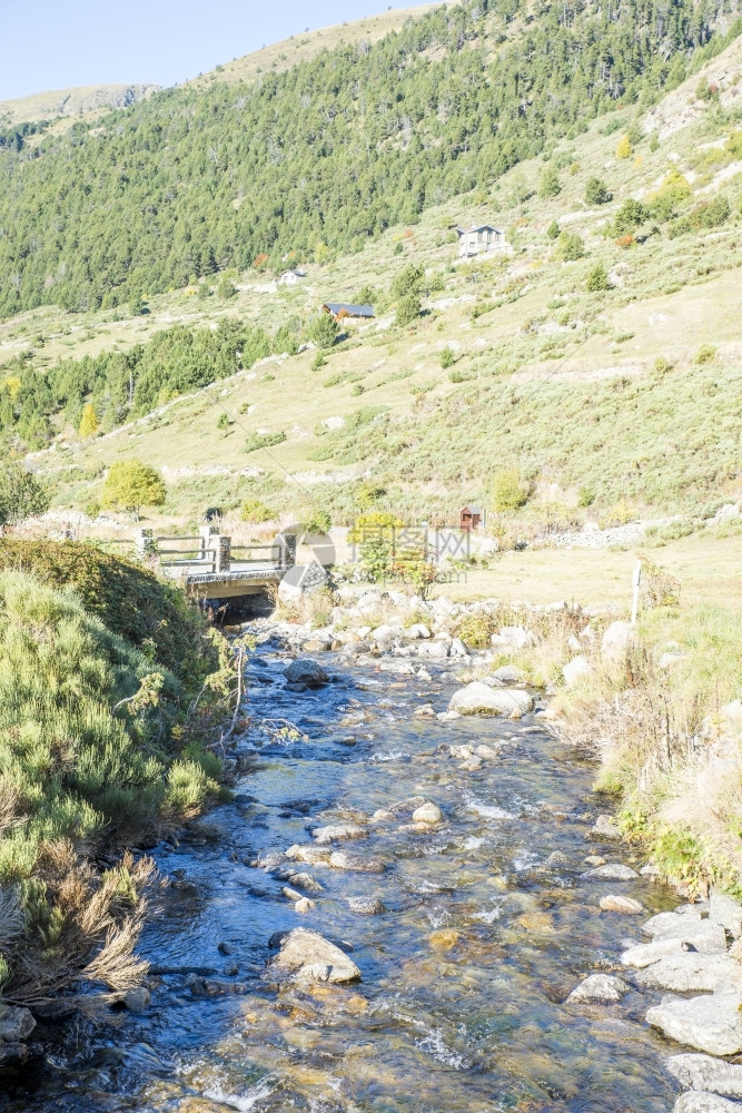 溅荒野生态在安道尔的LaVella河周围布满植被的河流图片