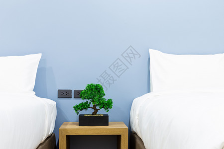 干净的优雅白色室内旅馆卧在花盆中用绿树装饰床上的白色枕头加绿树图片