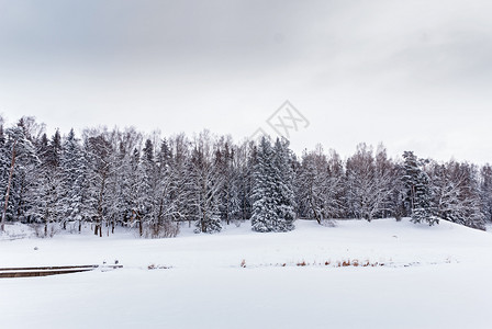 降雪冬天冰和森林下河流的景色冬季风冷杉图片