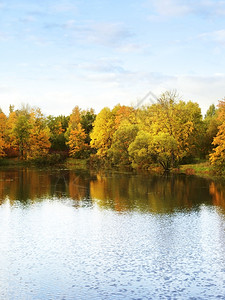 红色的黄叶子秋风公园地貌景观有河流和蓝天空背景图片
