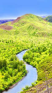 森林瀑布和河流树木多彩天空蓝常绿明信片高的图片