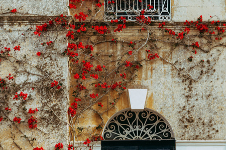 镇古老的麦芽房子墙上挂着红布伦加维拉结石走砖高清图片素材