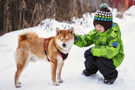 雪地里的小男孩和狗狗图片