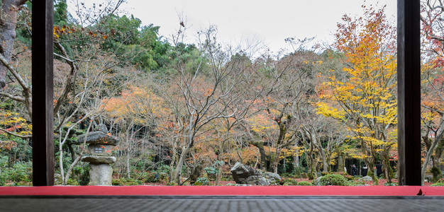 日本京都Enkoji寺庙美丽的日本花园秋天风景地标屋橙图片